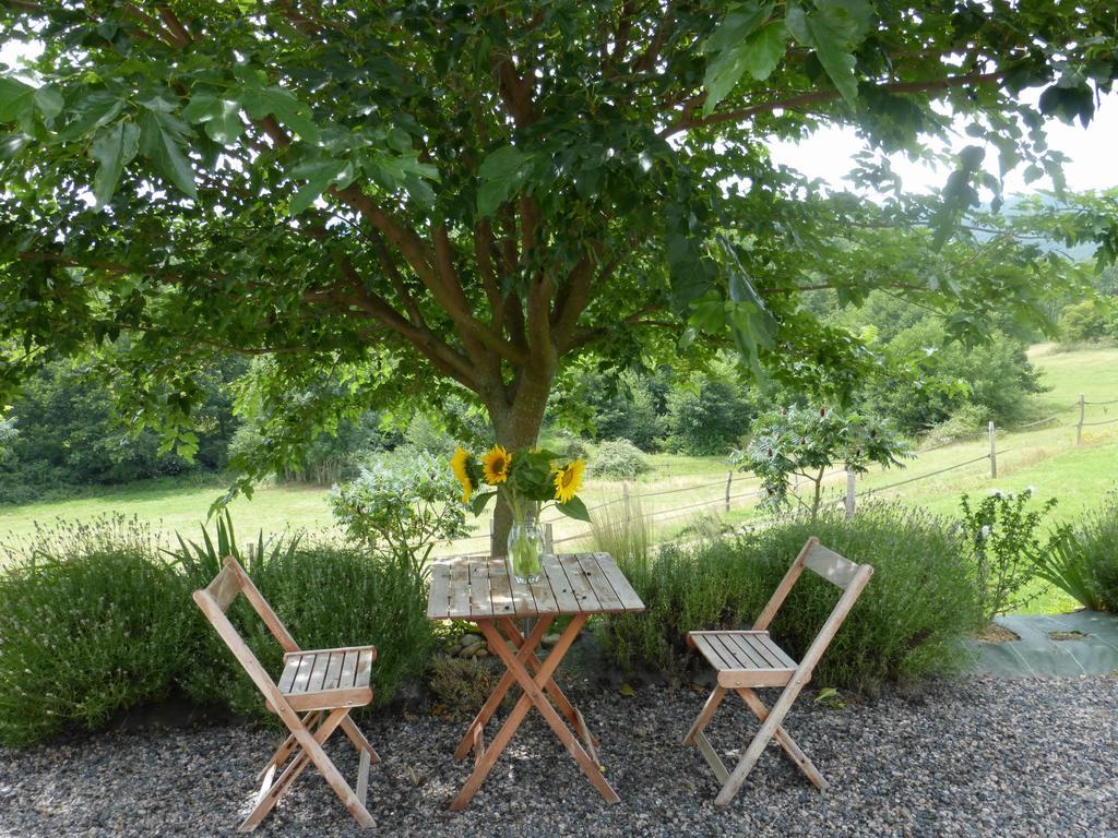 Bed and Breakfast La Bergerie Pollionnay Exterior foto