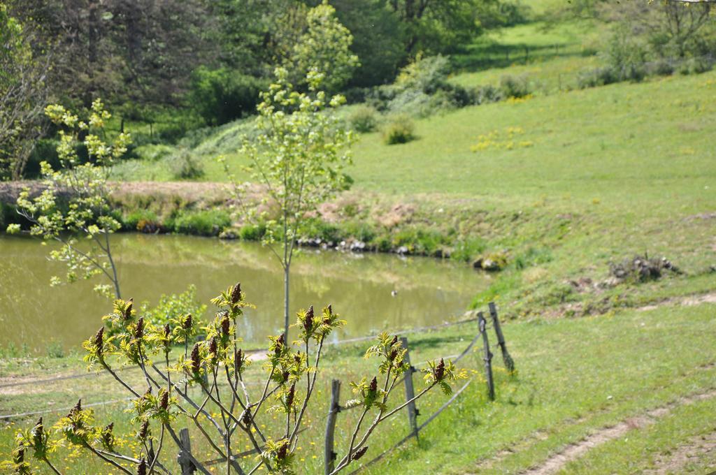 Bed and Breakfast La Bergerie Pollionnay Exterior foto