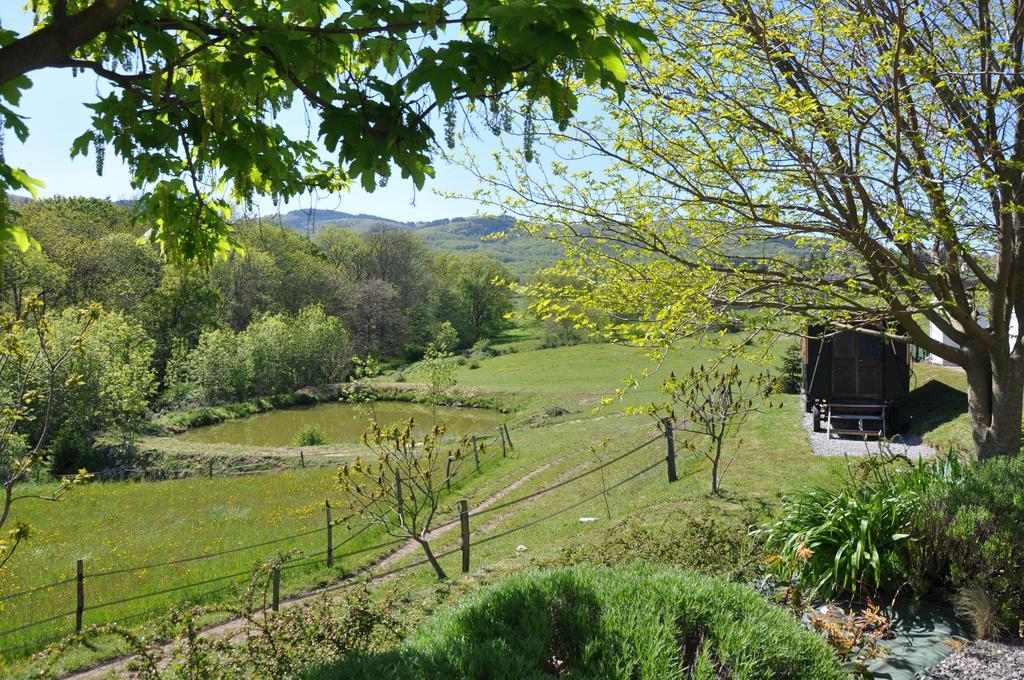 Bed and Breakfast La Bergerie Pollionnay Exterior foto