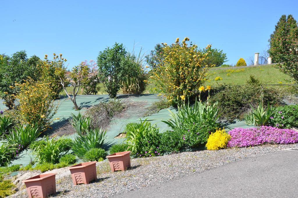 Bed and Breakfast La Bergerie Pollionnay Exterior foto