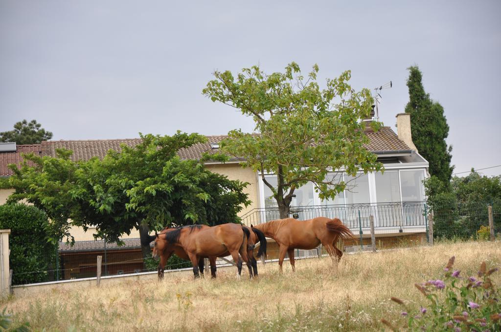 Bed and Breakfast La Bergerie Pollionnay Exterior foto