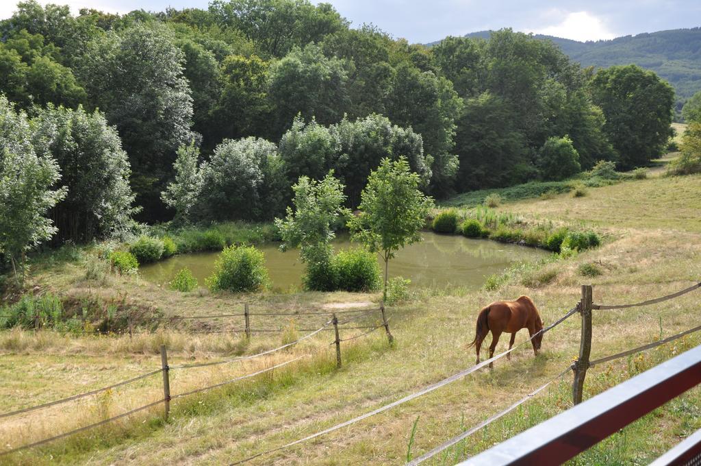 Bed and Breakfast La Bergerie Pollionnay Exterior foto